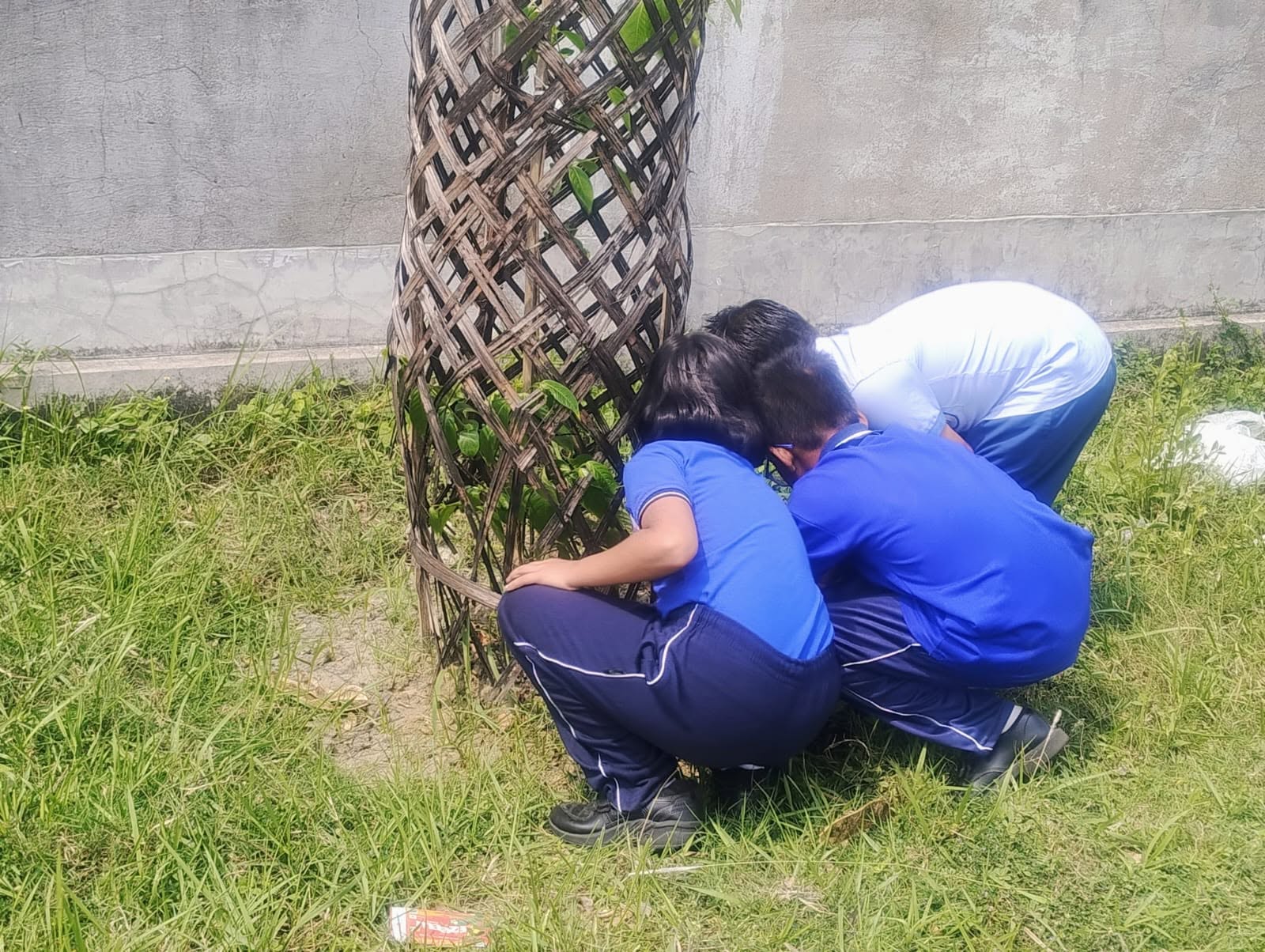 Activity